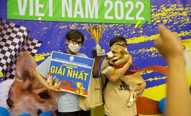 HCM City hosts first Corgi dog race