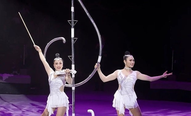 Vietnam wins gold at International Circus Festival in Russia