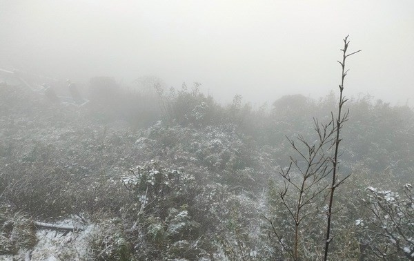 Snow covers top of Mount Fansipan