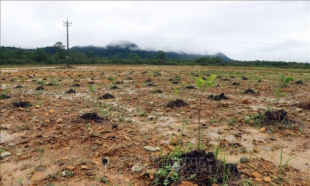 Belgium to support Vietnam in Agent Orange/Dioxin clean-up