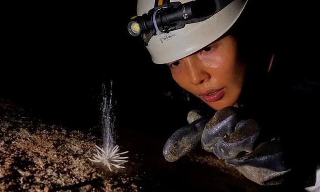 Unknown species found in Phong Nha Ke Bang National Park