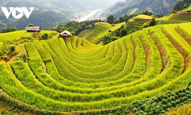 Mu Cang Chai praised as surreal beauty by Wanderlust Storytellers