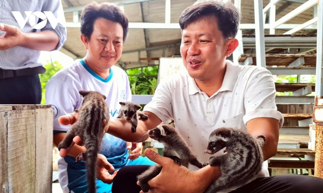 Ca Mau farmer prospers from raising ferrets