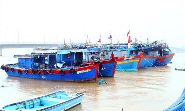 IUU fishing combat intensified in Quang Binh