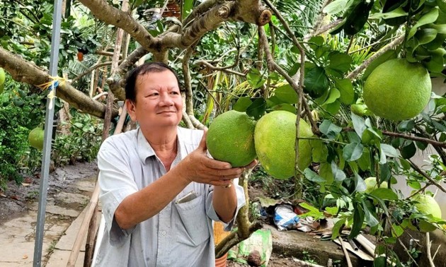 Ben Tre farmer prospers from clean gardening model