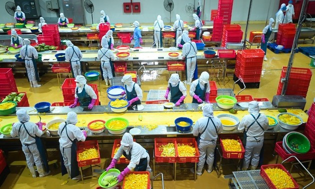 Fruit, vegetable exports valued at nearly 4 billion USD in 7 months 