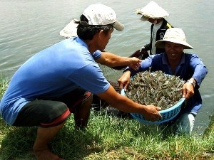 Quỹ Bảo tồn Thiên nhiên Quốc tế khởi động các dự án do Đan Mạch tài trợ