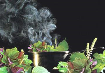 Những biện pháp phòng ngừa và điều trị các loai cúm do virus