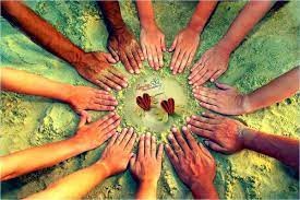 Thông tin về một số lĩnh vực chính trị, đời sống, xã hội của Việt Nam