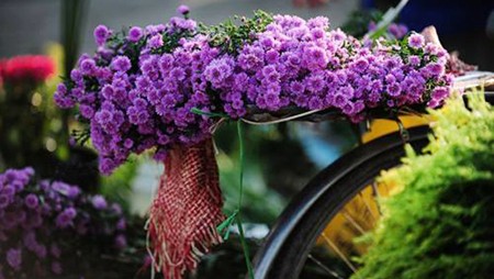 Hanoi en los últimos días del otoño 