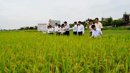 Transformaciones en área rural de Hai Duong