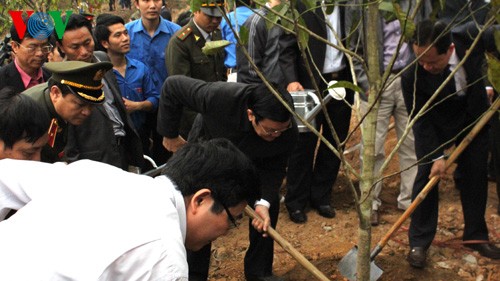 Inaugura presidente vietnamita campaña forestal de primavera