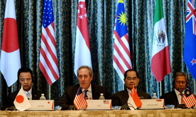 Vietnam participa con buena voluntad en negociaciones del TPP