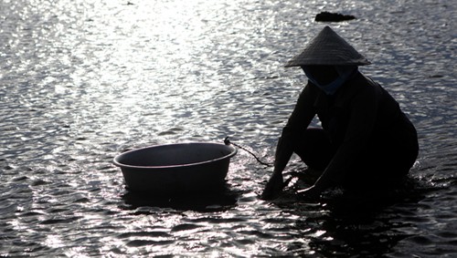 La isla de Ly Son en temporada de aguas bajas