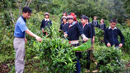 Vietnam promueve derechos de minorías étnicas