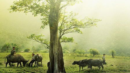 Vietnam, una leyenda (Vivencias de un cubano en la patria de Ho Chi Minh)         