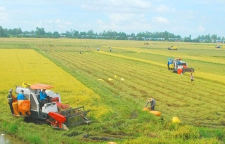 Garantizar la calidad de la marca y de los productos agrícolas nacionales