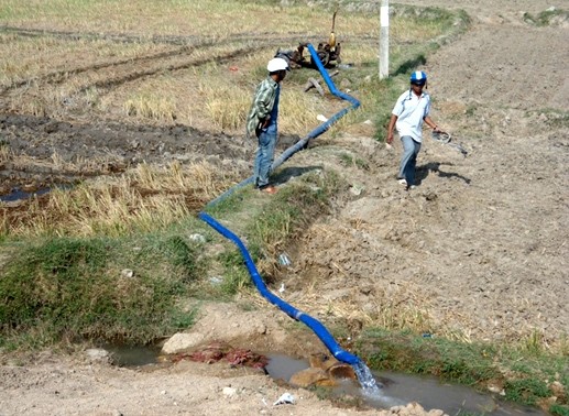 Comprometidas organizaciones internacionales en ayudar a Vietnam a superar la sequía y salinización