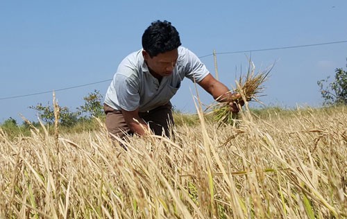 Japón concede gran capital para ayudar a víctimas de desastre natural en Vietnam