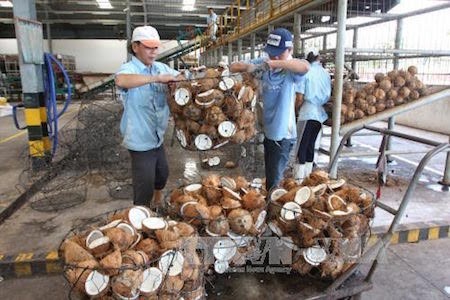 Valor de exportación de productos vietnamitas alcanza más de 20 mil millones de dólares