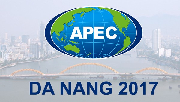 APEC 2017 afirma prestigio de Vietnam en palestra internacional