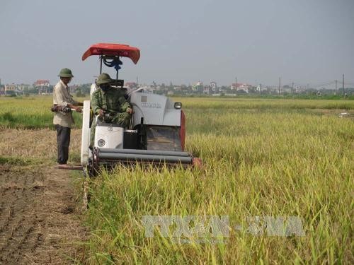 Gobierno vietnamita determinado a cumplir metas trazadas para 2016