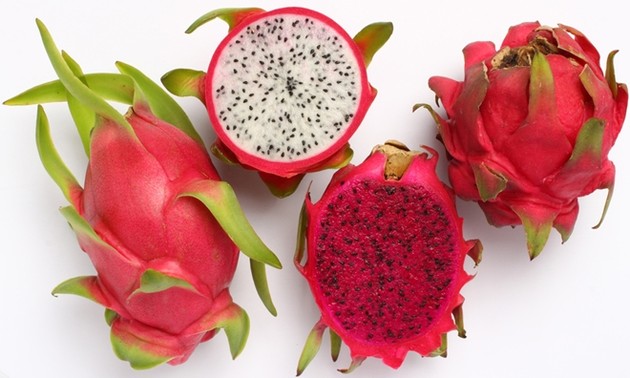 Pitaya vietnamita aprobada para entrar en Australia