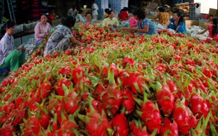 Vietnam por incrementar exportaciones de frutas y vegetales