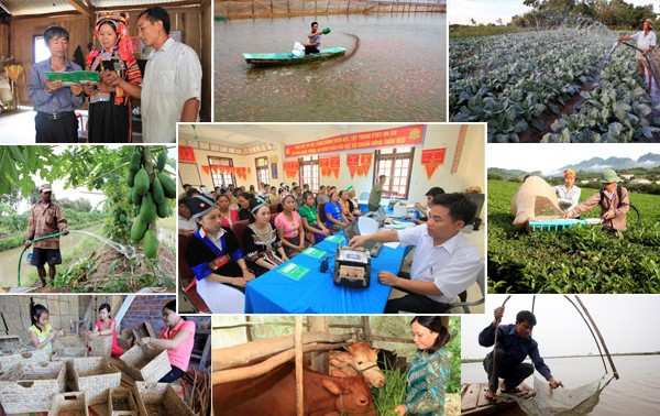 Vietnam toma en consideración la gobernanza nacional para un desarrollo rápido y sostenible del país