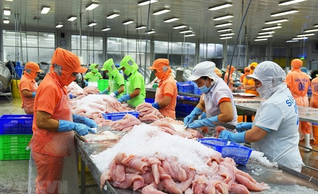 México entre los tres mayores importadores de pangasius vietnamita