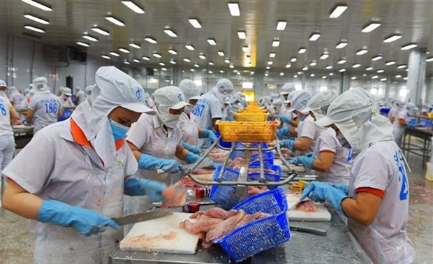 Estados Unidos mantiene la tasa de impuesto antidumping a pangasius vietnamita