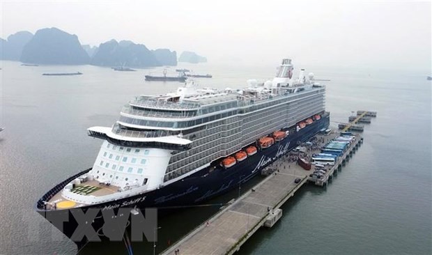 Crucero internacional arriba al puerto de Ha Long