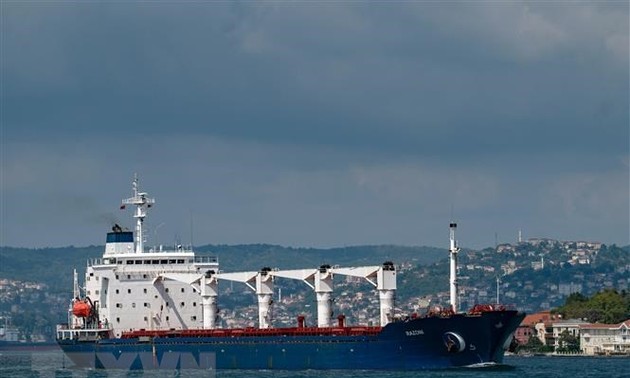 ONU manifiesta preocupaciones en torno al despliegue de la Iniciativa de Granos del Mar Negro