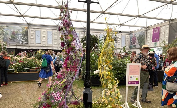 Vietnam obtiene por primera vez premio en Exhibición Floral de Chelsea