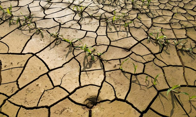 La ONU insta a combatir la desinformación sobre el cambio climático