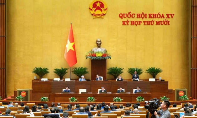 Proponen adoptar mecanismo de gestión adecuado de tierras raras en Vietnam 