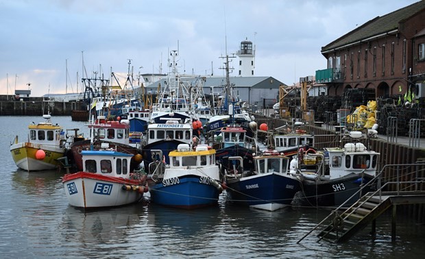 Licences de pêche post-Brexit: la France suspend les sanctions à l'encontre du Royaume-Uni