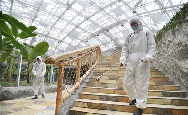 Covid-19: la barre des 4 millions de cas suspects a été franchie à Pyongyang