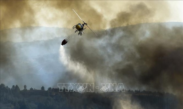 2022 enregistre une activité record d’incendies dans le sud-ouest de l’Europe