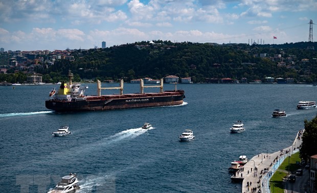 Turquie: il n'y a aucune raison d'empêcher la prolongation de l'accord sur les céréales signé à Istanbul