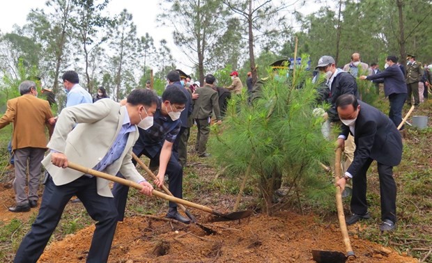 Hanoï: Plantation d’arbres en souvenir du 50e anniversaire de la signature des accords de Paris