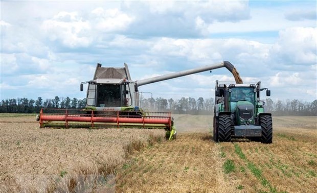 La Russie et l'ONU mènent des consultations sur les exportations agricoles