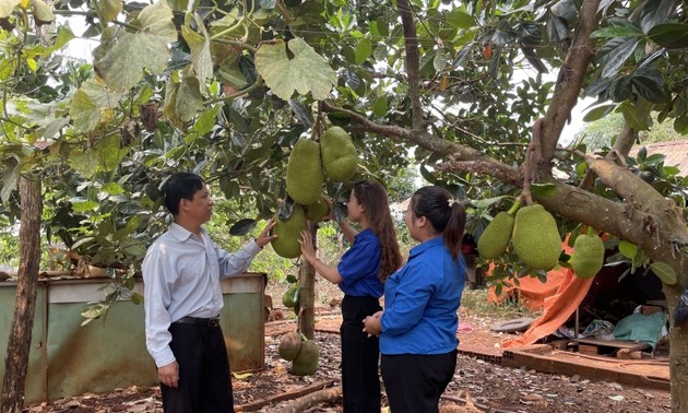 Kpa Meo, un agriculteur réussi