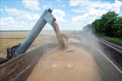 La Pologne s’engage à faciliter le transit des céréales ukrainiennes