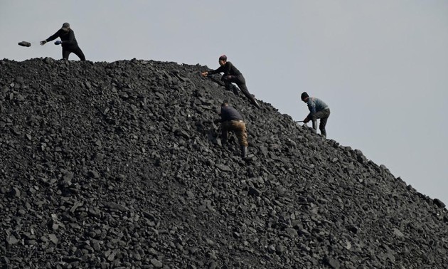 COP28: Réactions après l'adoption de l’accord sur la «transition» hors des énergies fossiles 