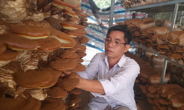 Binh Duong mise sur l’agriculture dite «intelligente»