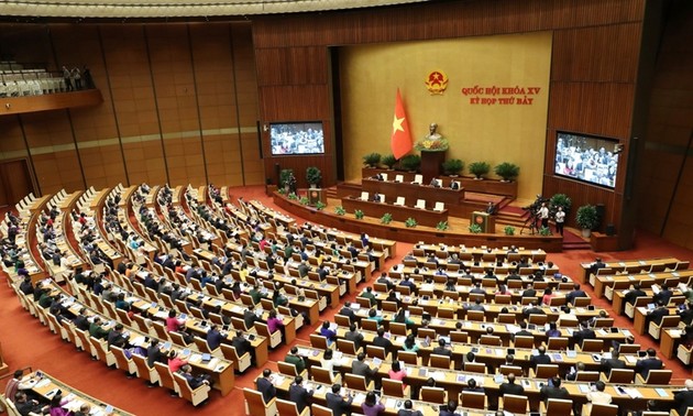 L'Assemblée nationale examine le programme national de développement culturel 2025-2035