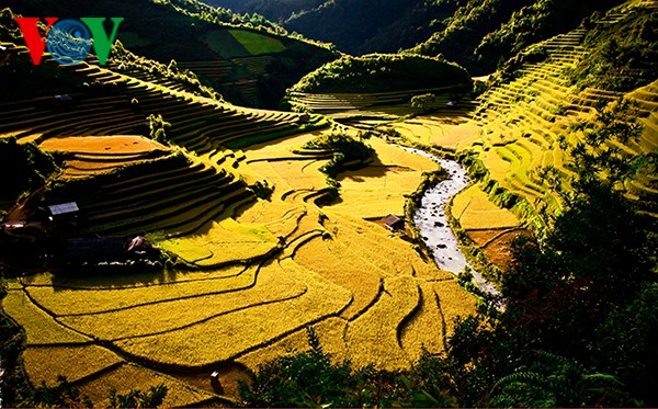 ตอบจดหมายท่านผู้ฟังวันที่ 21 ตุลาคมปี 2017