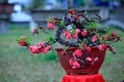 ตอบจดหมายท่านผู้ฟังวันที่ 10 กุมภาพันธ์ปี 2018