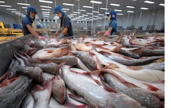 ไทยนำเข้าปลาสวายจากเวียดนามมากที่สุดในอาเซียน